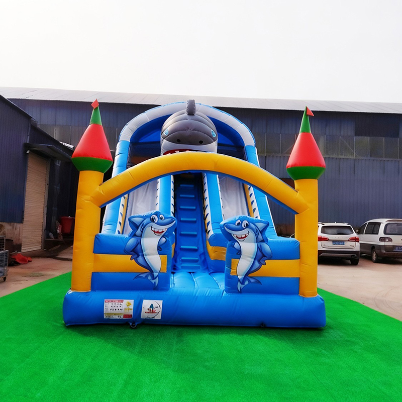 대여 가능한 소형 야외용 두꺼운 PVC 에어바운스 슬라 - Kids Outdoor Slide 리뷰 및 가격